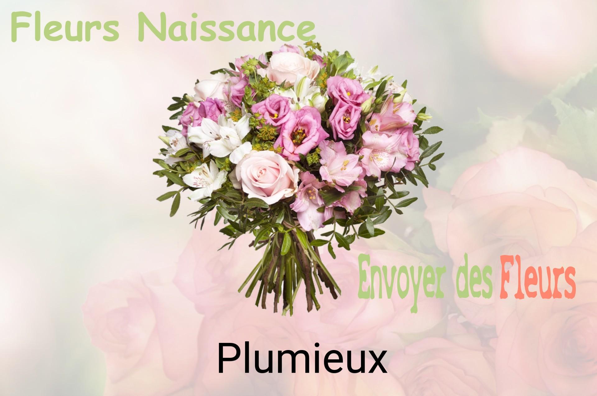 Bouquet de fleurs de naissance livré à Plumieux