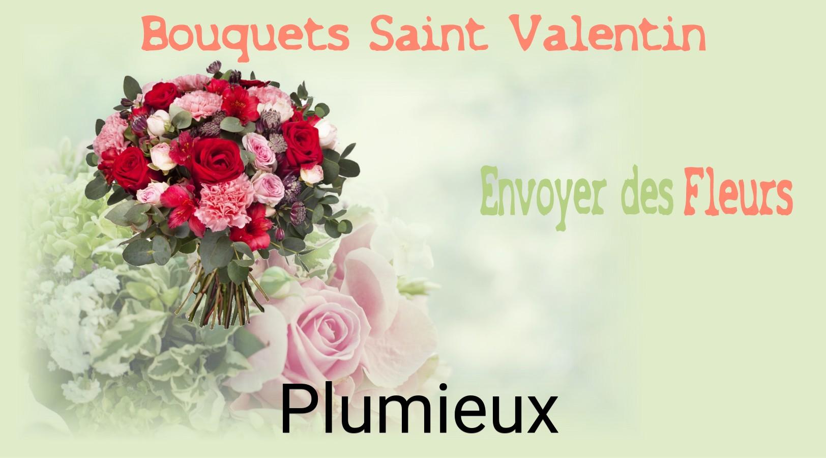 Roses de Saint-Valentin livrées à Plumieux