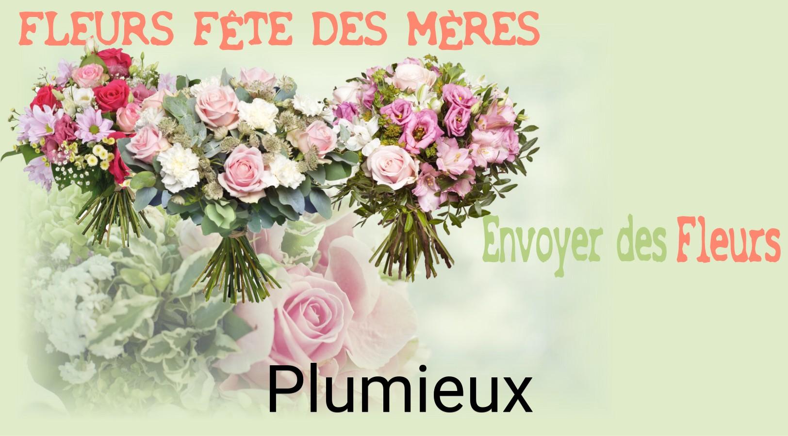 Bouquet de Fête des Mères livré à Plumieux